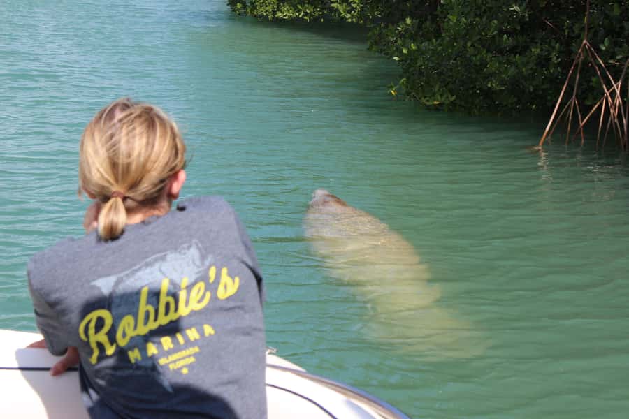 Islamorada: Private Boat Tour with Snorkeling and Sandbar - Starting Point at Robbies Marina in Islamorada