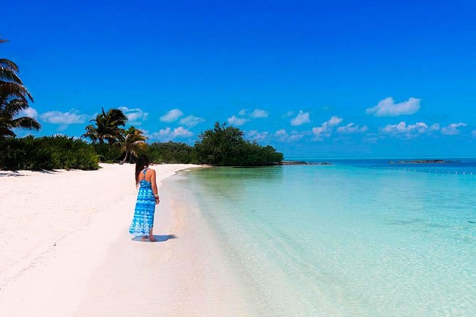 Island Contoy Adventour & Buffete & Isla Mujeres only from Cancun - Exploring Isla Contoy: Nature Reserve and Bird Sanctuary