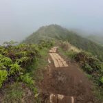 Island of Maui Customized Half-Day Private Tour - How the Tour Begins with a Gourmet Island Breakfast