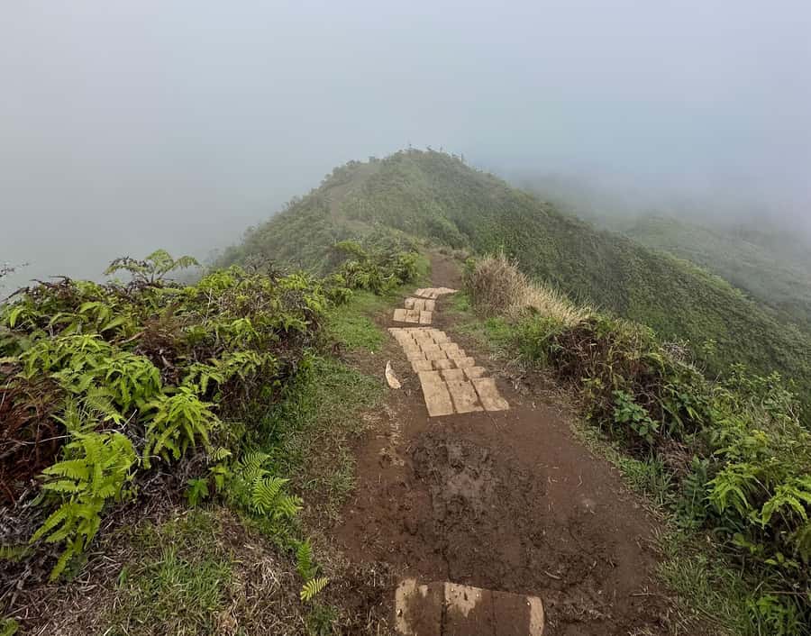 Island of Maui Customized Half-Day Private Tour - How the Tour Begins with a Gourmet Island Breakfast