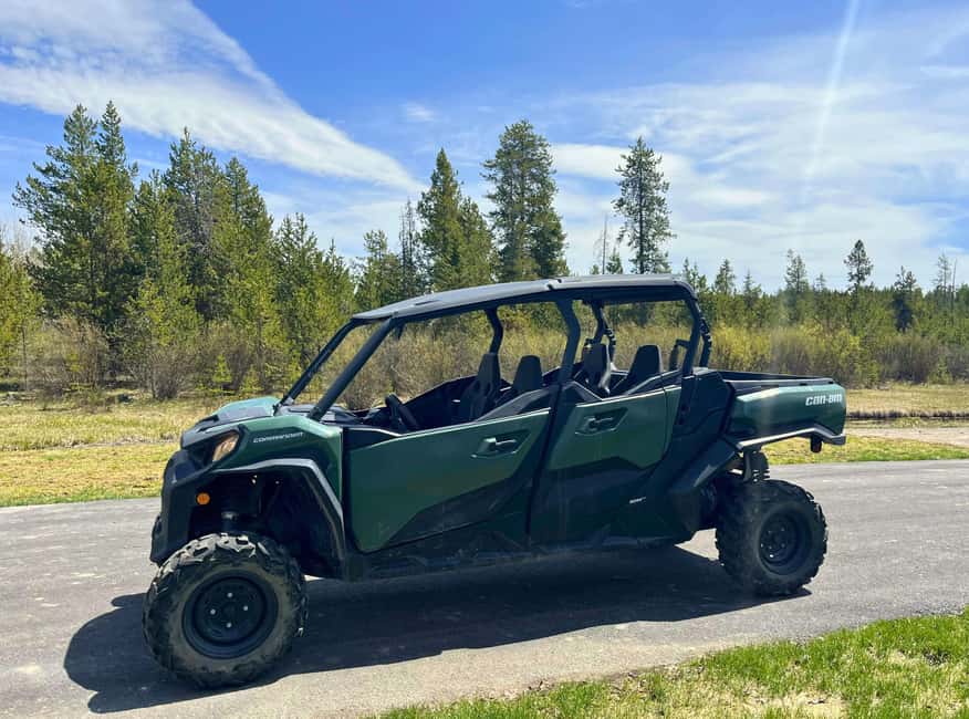 Island Park: Full-Day UTV Adventure - Vehicle Choices for Different Group Sizes