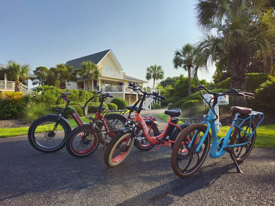 Isle of Palms: Electric Bike Rental - Variety of Bike Options for All Preferences
