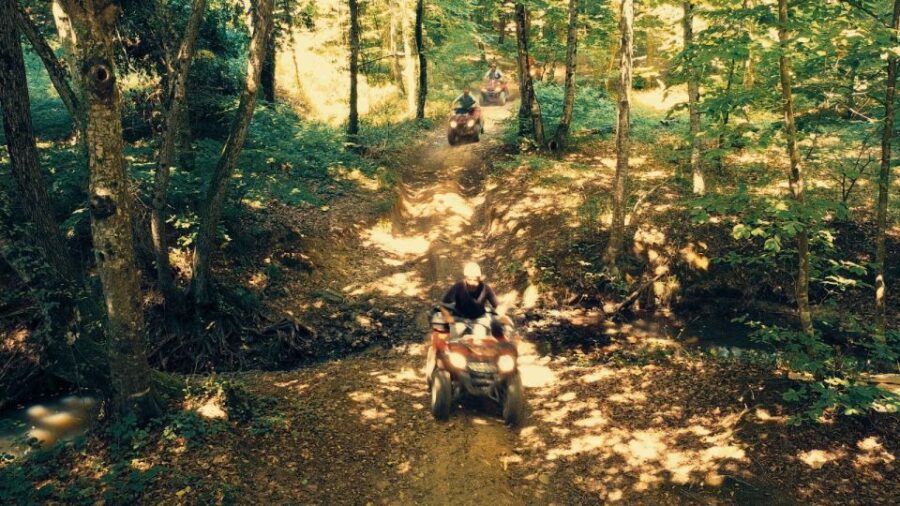 Istanbul: Belgrad Forest ATV Tour with Ziplining Option - Starting Point and Convenience of Hotel Transfers