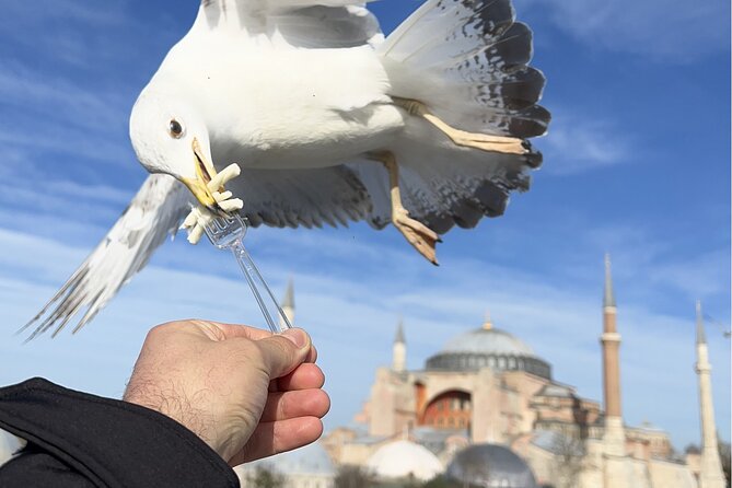 Istanbul: Best of The City Full-Day Tour with Transfers - The Blue Mosque: Architectural Beauty and Cultural Significance