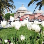 Istanbul Delights: A Journey Through Flavor and History - Visiting the Blue Mosque: An Ottoman Architectural Masterpiece