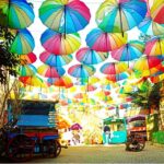 Istanbul: Fener Balat Half-day Guided Walking Tour - Highlights of the Districts of Fener and Balat