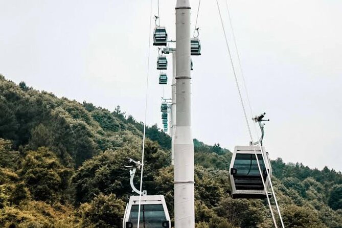 Istanbul Lake Sapanca Tour with Lunch and Transfer - Exploring Viaport Marina and Market Options