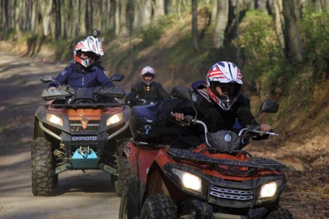 Istanbul Quad Bike Safari with Optional Zipline Experience - Exploring Belgrad Forest on an ATV