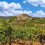 Istrian Inland: Motovun and Gronjan half day tour (From Rovinj) - Visiting Motovun: The Medieval Heart of Istria
