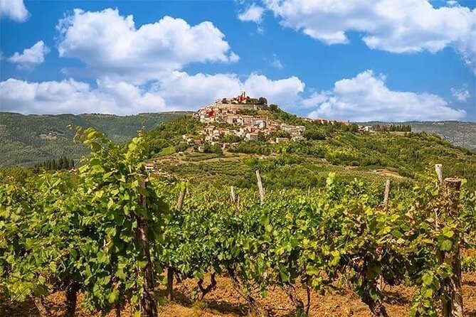 Istrian Inland: Motovun and Gronjan half day tour (From Rovinj) - Visiting Motovun: The Medieval Heart of Istria