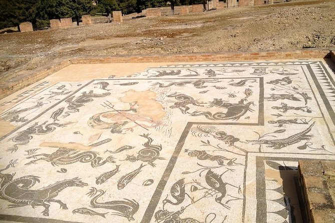Italica: 3-hour city tour of the emperors from Seville - Exploring the Archaeological Ensemble of Italica