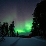 Ivalo: Aurora Hunting with Reindeer - Meeting the Reindeer and Learning Reindeer Herding Traditions in Ivalo