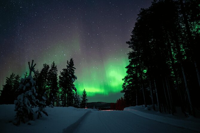 Ivalo: Aurora Hunting with Reindeer - Meeting the Reindeer and Learning Reindeer Herding Traditions in Ivalo