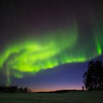 Ivalo: Wilderness Adventure by Snowmobile Sleigh - Gliding in a Snowmobile-Pulled Sleigh in the Lapland Wilderness