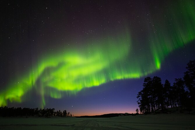 Ivalo: Wilderness Adventure by Snowmobile Sleigh - Gliding in a Snowmobile-Pulled Sleigh in the Lapland Wilderness