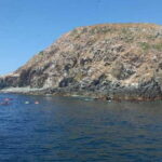 Ixtapa: Marine Life Exploration - Exploring Vibrant Coral Reefs with Guided Expertise