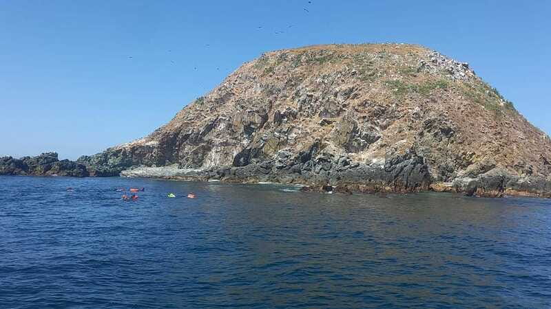 Ixtapa: Marine Life Exploration - Exploring Vibrant Coral Reefs with Guided Expertise
