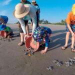 Ixtapa-Zihuatanejo: Turtle Release Tour. - The Location: A Beautiful Beachside Town Near Ixtapa Zihuatanejo