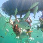 Ixtapa: Zipline and Snorkeling Adventure with Lunch - Thrilling Ziplining Experience with Scenic Views