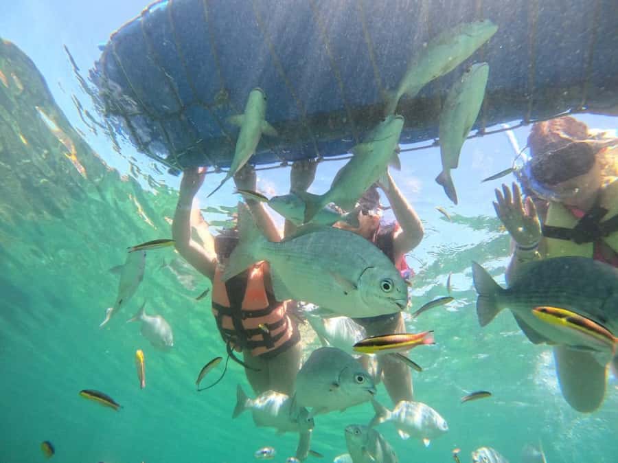 Ixtapa: Zipline and Snorkeling Adventure with Lunch - Thrilling Ziplining Experience with Scenic Views