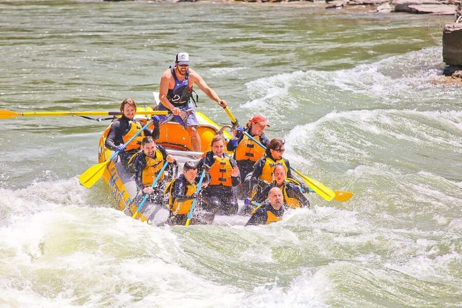 Jackson: 8-Mile Small-Boat Whitewater Rafting Trip - The Snake River and Its Famous Rapids