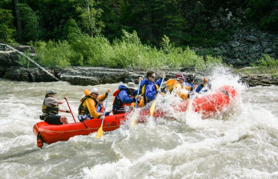 Jackson Hole: Snake River Whitewater Rafting Tour - Snake River Rapids: What Makes This Tour Exciting