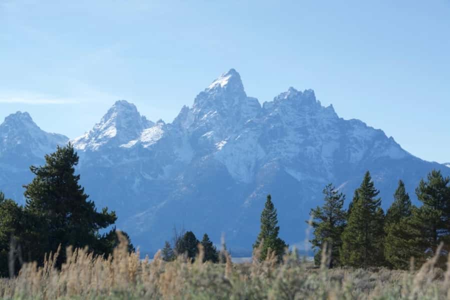 Jackson Hole: Teton Range ATV Tour with Picnic Lunch - Riding Through Forested Valleys and Rugged Trails