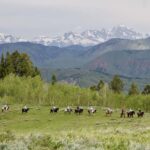 Jackson Hole: Teton View Guided Horseback Ride with Lunch - Climb to Ann’s Ridge for Panoramic Views