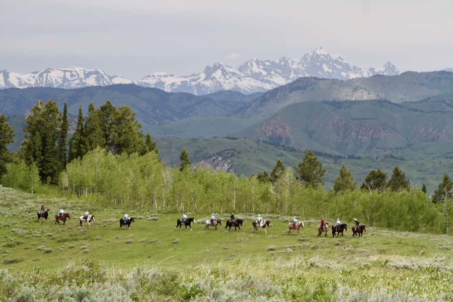 Jackson Hole: Teton View Guided Horseback Ride with Lunch - Climb to Ann’s Ridge for Panoramic Views