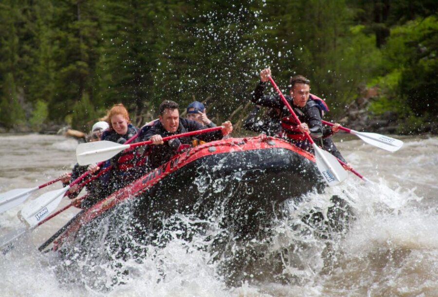 Jackson: Snake River Class 2-3 Whitewater Rafting Adventure - Two Boat Options for Different Paddling Experiences