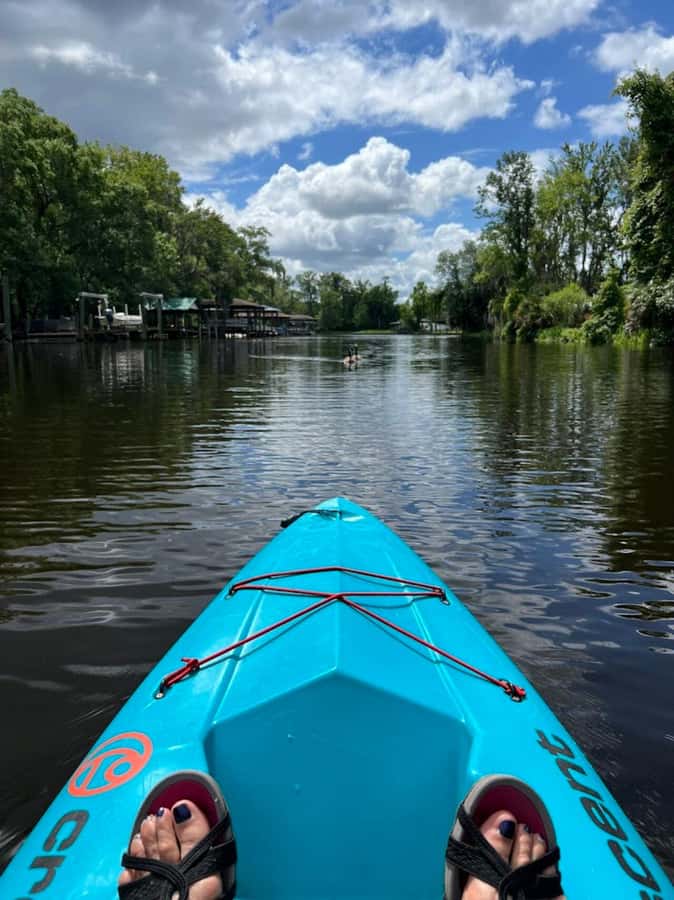 Jacksonville FL: Ortega River Paddle Board Excursion - High-Quality SUP Equipment for All Skill Levels