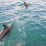 Jacksonville Private Boat Tour Daytime or Sunset, up to 6 people - Wildlife and Landmarks Along the River