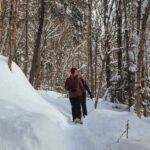 Jacques-Cartier: National Park Entry Ticket & Snowshoeing - Exploring Jacques-Cartier Valley and Glacial Landscapes