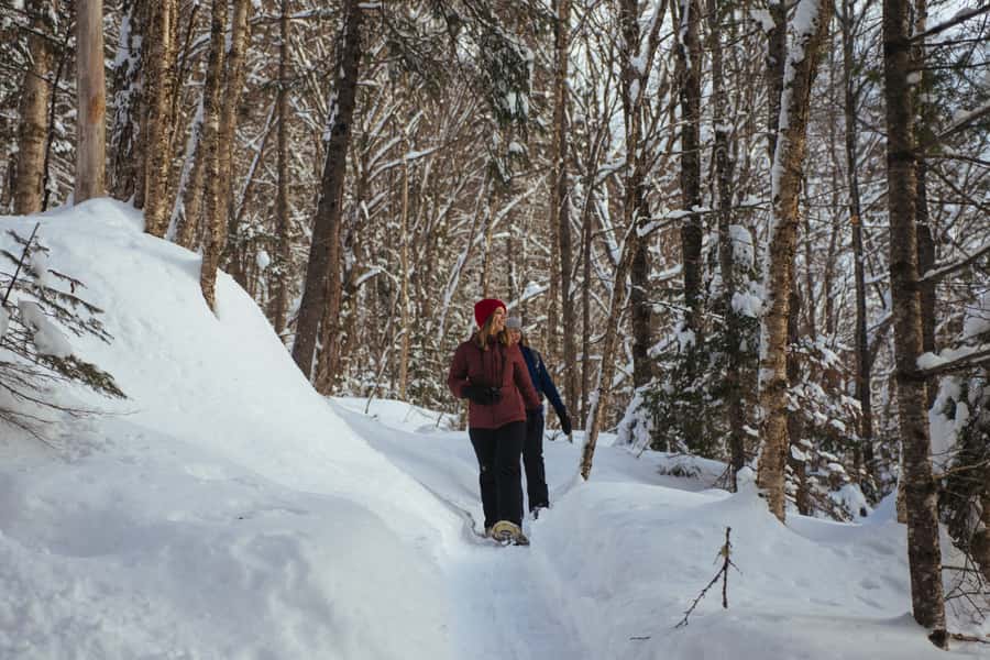 Jacques-Cartier: National Park Entry Ticket & Snowshoeing - Exploring Jacques-Cartier Valley and Glacial Landscapes