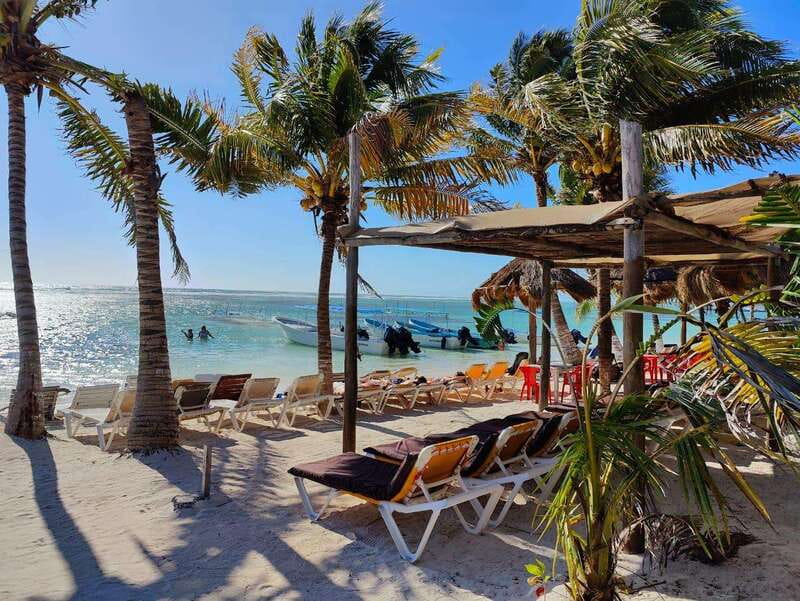 Jaimes at the blue Reef all you can eat + drinks - Unlimited Drinks: From Margaritas to Beers