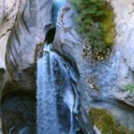 Jasper Wildlife and Waterfalls Tour with Maligne Lake Hike - Wildlife Spotting: Common Sightings and Expectations