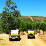 Jeep Safari From Dalyan - The Village Visit and Cultural Insights