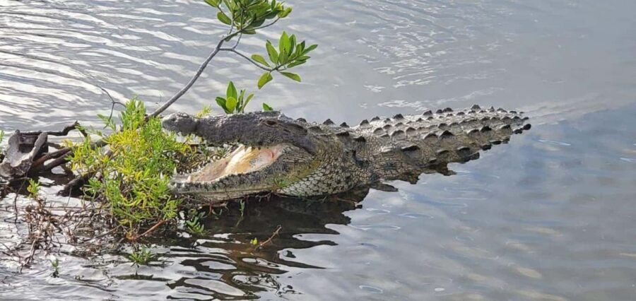Jeep Tour to Punta Sur Eco Beach Park with Lunch - Starting Point and Pickup Details at Cozumel