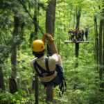 Jeffersonville, VT: ArborTrek Zipline Canopy Tour - From Ground School to Rappelling: A Well-Structured Adventure