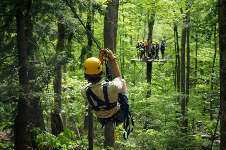 Jeffersonville, VT: ArborTrek Zipline Canopy Tour - From Ground School to Rappelling: A Well-Structured Adventure