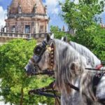 Jerez: Historic Center Guided Tour - Starting Point and Duration Convenience