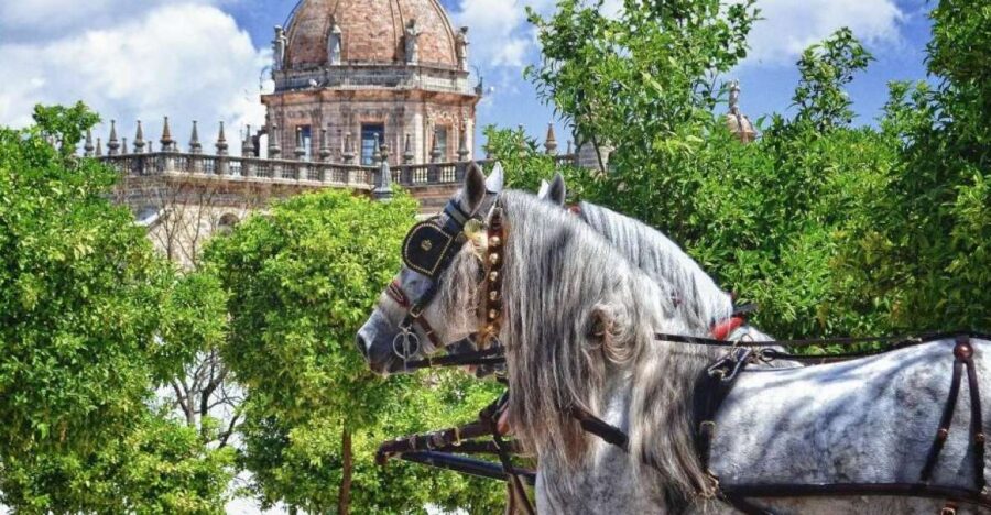 Jerez: Historic Center Guided Tour - Starting Point and Duration Convenience