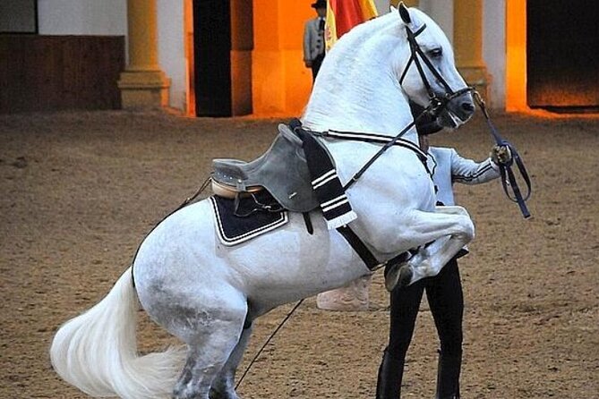 Jerez Historic Guided Tour with Horse Show - The Charm of Jerez’s Historic Streets