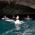 Jet Ski Safari South Tenerife - Wildlife Watching: Dolphins and Whales in Their Natural Habitat
