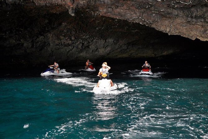 Jet Ski Safari South Tenerife - Wildlife Watching: Dolphins and Whales in Their Natural Habitat
