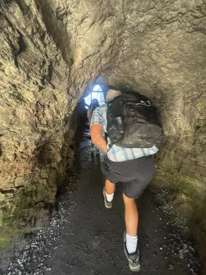Johnston Canyon: Banff National Park - Meeting Point and Tour Logistics