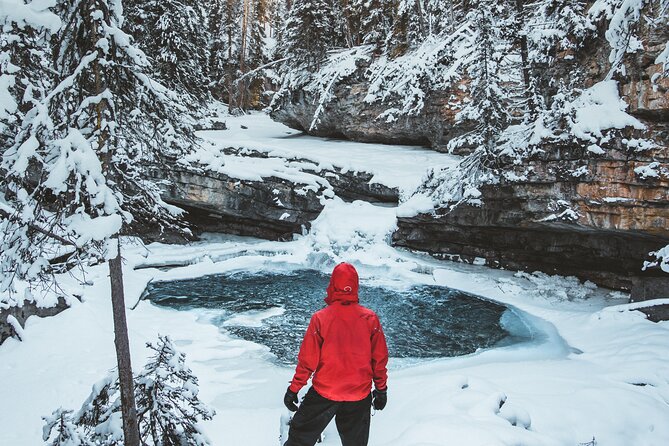 Johnston Canyon Frozen Waterfalls & Banff Backroads Wildlife Tour - Scenic Drive Along Bow Valley Parkway