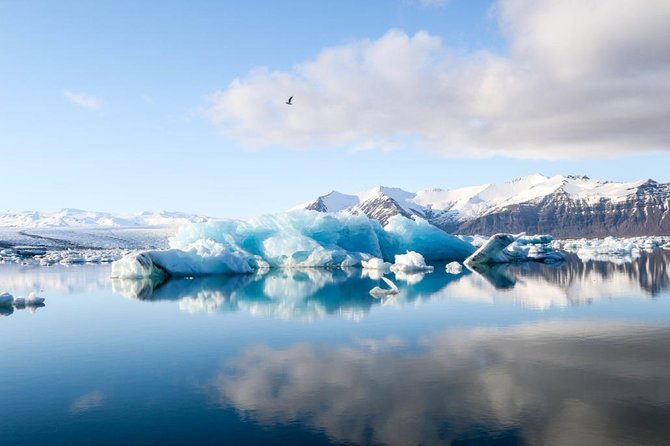 Jökulsarlón Glacier Lagoon Tour - Starting Point: Pickup at Harpa Concert Hall in Reykjavik