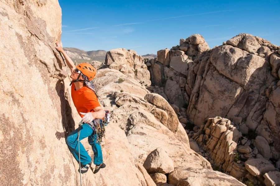 Joshua Tree National Park: Private Rock Climbing Trip - Meet Your Private Guide at a Convenient Location in Joshua Tree
