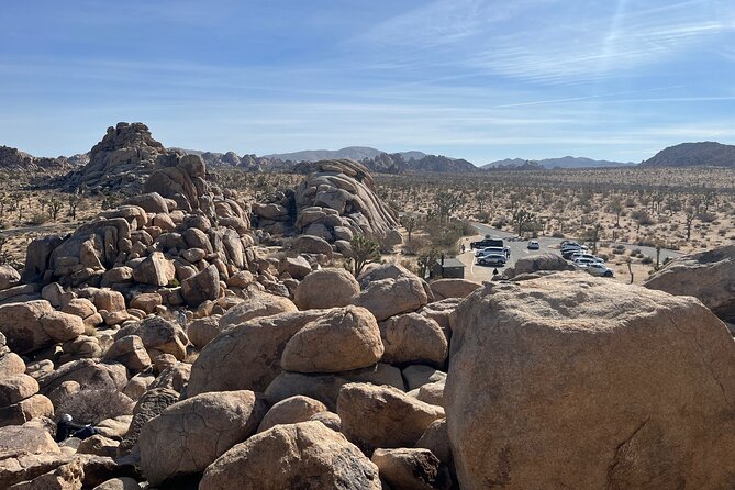 Joshua Tree National Park Sightseeing Adventure Tour - Marveling at Banana Cracks Rock and Hemmingway Boulders